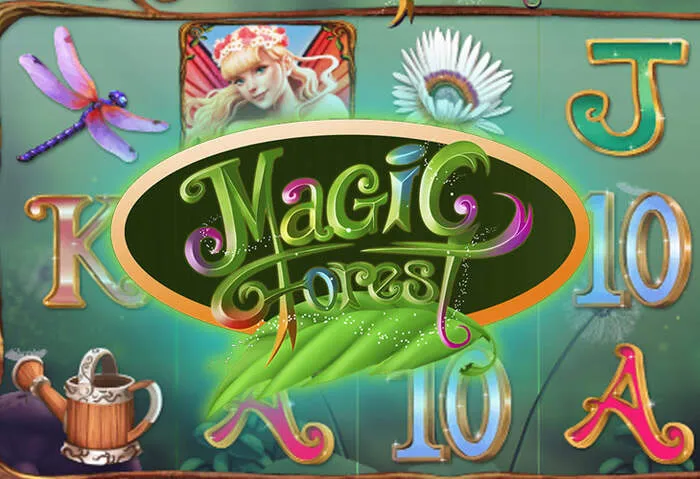 Richiedi il Codice Senza Deposito Bonus Spinbara Casino.