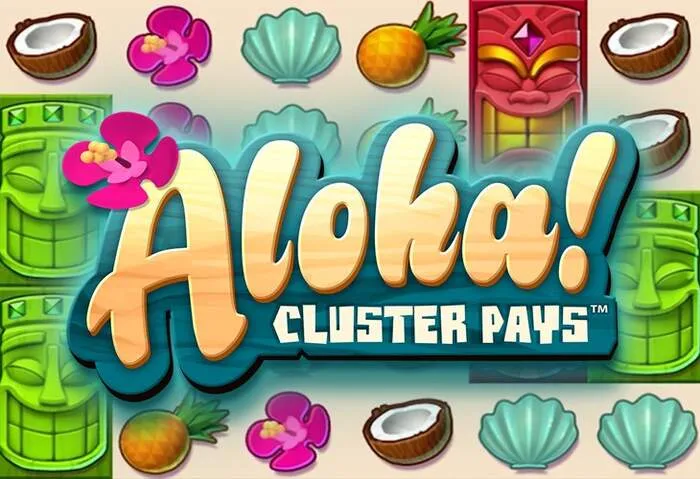 Tavolo da gioco live Codice Senza Deposito e Giri Gratuiti Spinbara Casino.