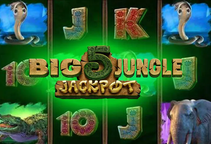 Leggi la Recensione Bonus Spinbara Casino onesta.