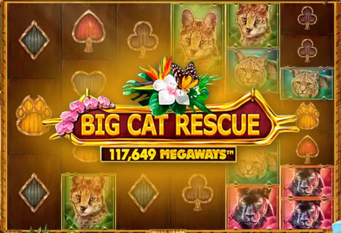 Descubre Spinbara Casino tipos de pago aceptados aquí.