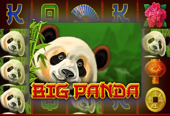 Enjoy Spinbara Casino Slots & Live Dealer Games instantly