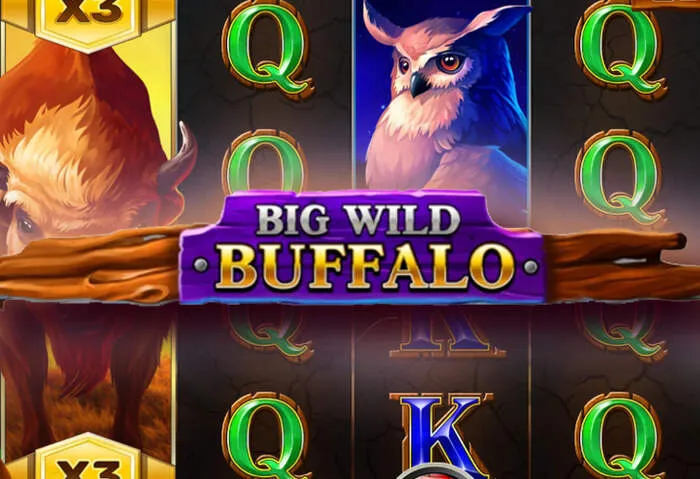 Spinbara Casino No Deposit Code and Free Spins slot reels.