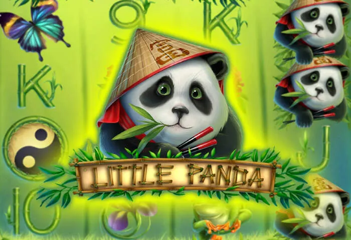 Scopri Spinbara Casino Giochi Online Bonus esclusivi